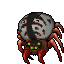 Spider Fiery